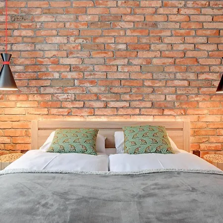 Batorego Comfort